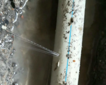 大城卫生间测漏水多少钱